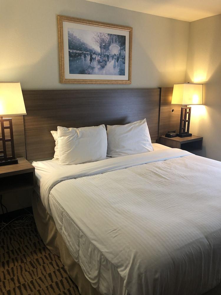 Clarion Pointe Charleston - West Ashley Hotel Bagian luar foto